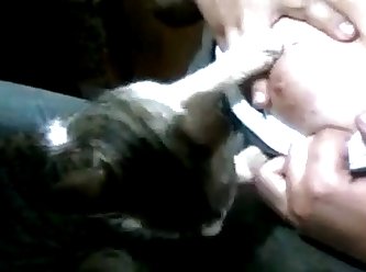 First Time Dog Fuck Video