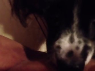 Black Dick Fuck Dog