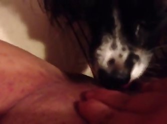 Black Dick Fuck Dog
