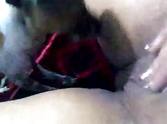 Dog Barking Fuck You