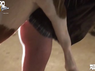 Sheep Having Sex
