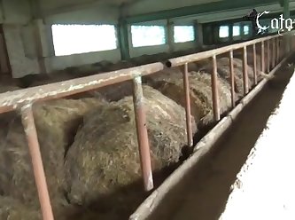 Worlds Biggest Dog Cock