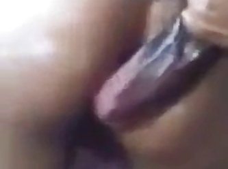Is It Legal To Watch Beastiality Porn