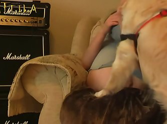 Why Would Anyone Engage In Sex With An Animal