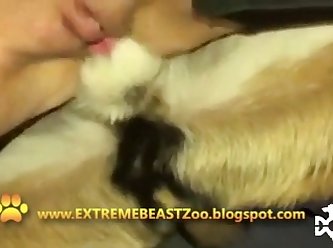 Sex Wiht Animal