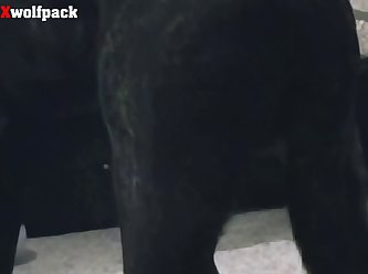 Using Animal Penis For Sex