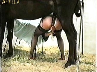 Research On Sex Hormones And Animal Sexual Behavior Indicates That