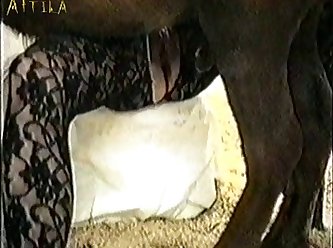 Animal Sex Tube Free