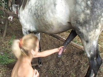 Werid Animal Sex