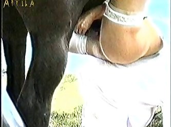Animal Cros Sex