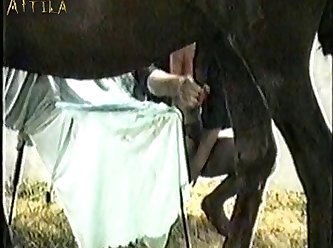 Animal Or Woman Sex