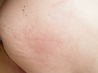 Animal Sex Info