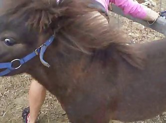 Animal Sex Info