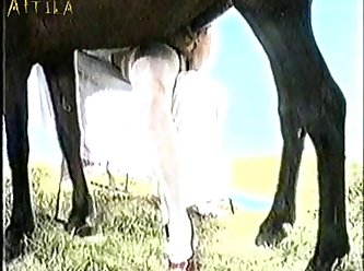 Animal And Human Sex Videos