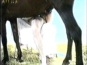 Animal And Human Sex Videos