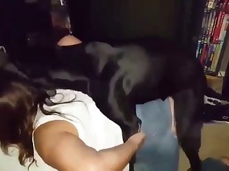 Strong Thick Legs Supporting Wide Hips And A Big