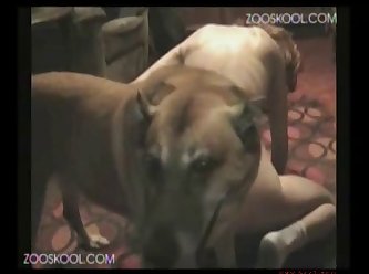 Of You It's Your First Time. Either Way If You Have A