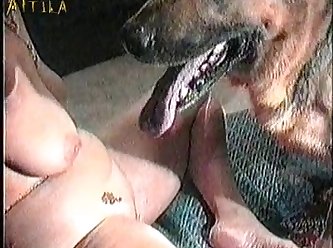 Animal Sex Casting