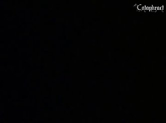 Xxx Sex Animal Videos