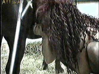 Animal Porn Sex Xxx