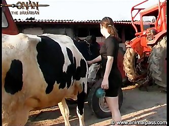 Sex Or Animal