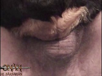 Dog Animal Sex Video