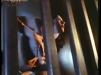 What Animal Did Sailors Have Sex With