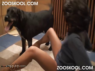 Classic Sex Animal