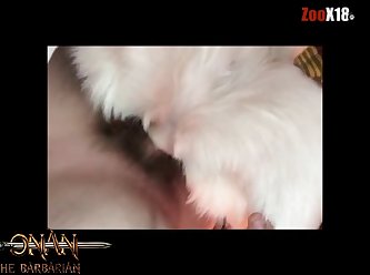 What Is Sex Man And Animal Called