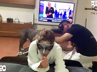 Animal Have Sex Video