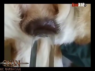 Mom Sex Animal