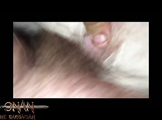 Sex Animal And Animal