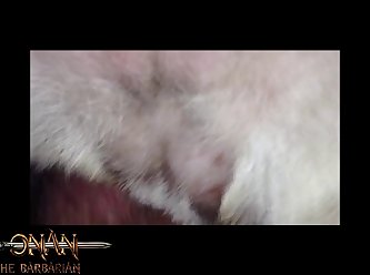 Funny Animal Sex Noises
