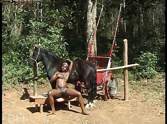 Animal Sex Porn Gifs