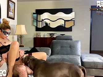 Sex Animal Site