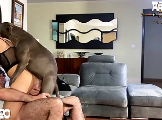 Sex Animal Site