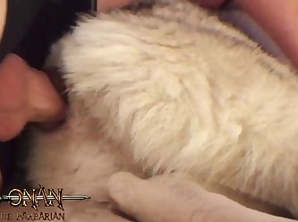 Women Animal Sex Vedio