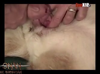 Women Animal Sex Vedio