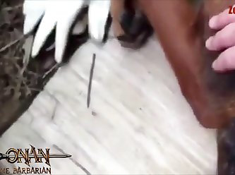 Sex With Woman And Animal