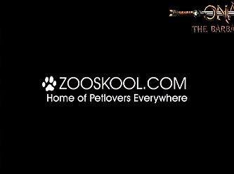 Human Sex Animal Video