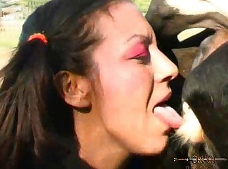 Animal Sex Together