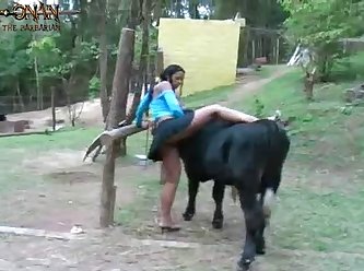 Animal Hd Sex Videos