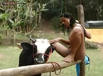 Animal Hd Sex Videos