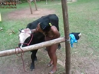 Animal Hd Sex Videos