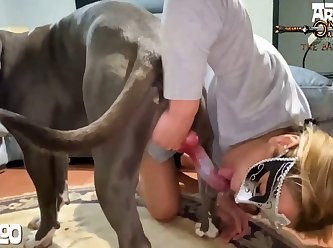 Animal Sex Videos