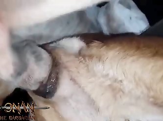 Boy Animal Sex