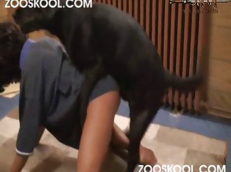 Retarded Animal Babies Sex