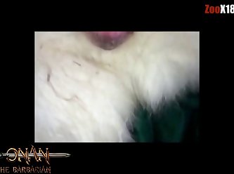 Man Fuck Animal Sex Videos