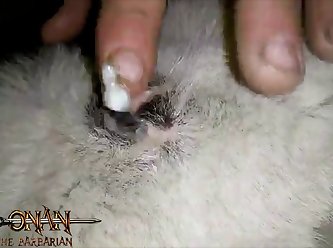 Free Sex Porn Animal