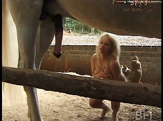 Gay Sex With Animal Porn